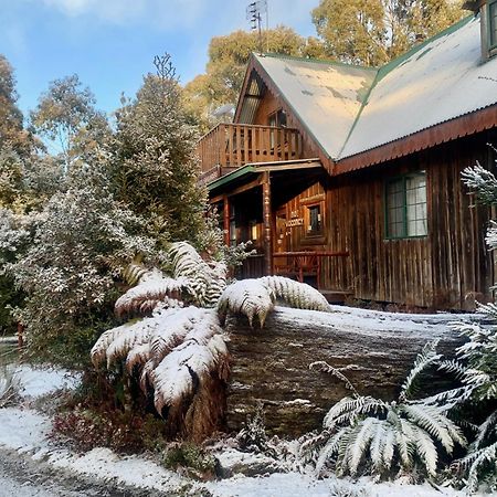 Cradle Highlander Villa Cradle Mountain Exterior photo