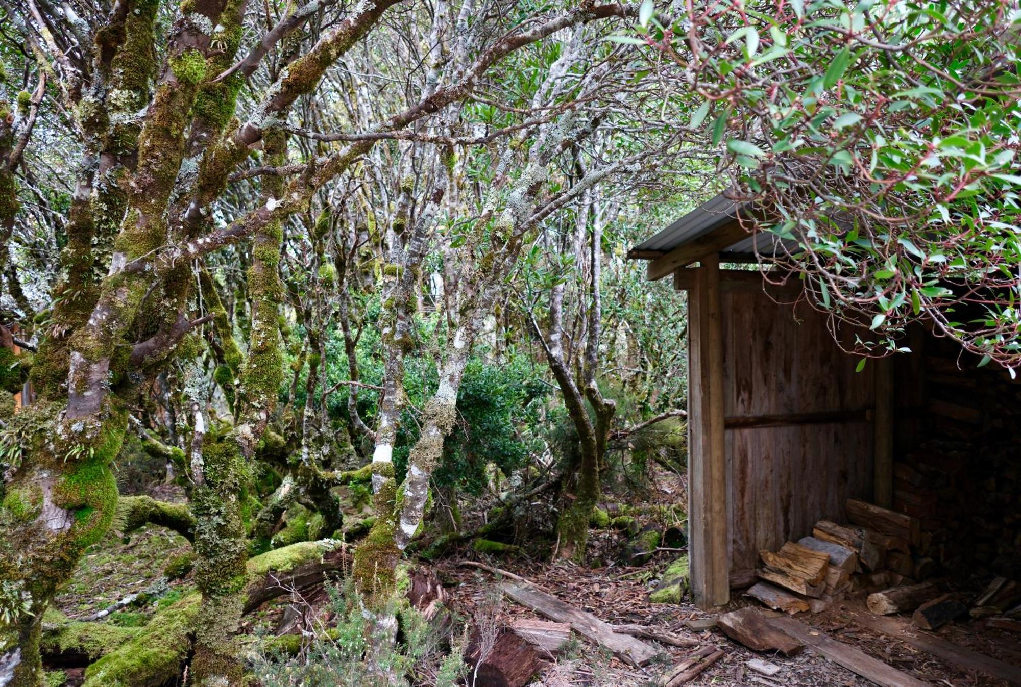 Cradle Highlander Villa Cradle Mountain Exterior photo