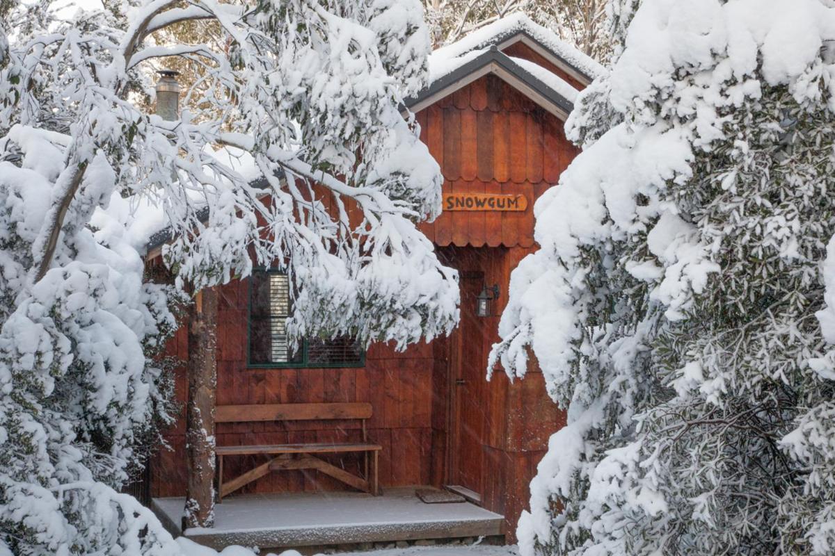 Cradle Highlander Villa Cradle Mountain Exterior photo